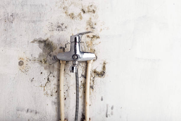 Mold Removal Process in Montoursville, PA