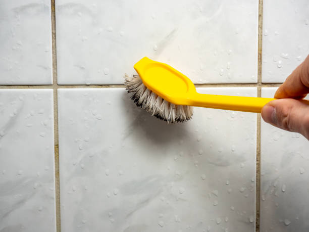 Best Office Mold Removal Services  in Montoursville, PA