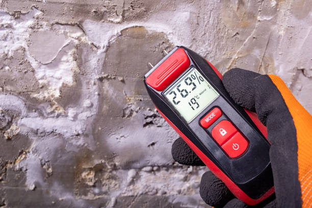 Best Mold Cleaning Services  in Montoursville, PA